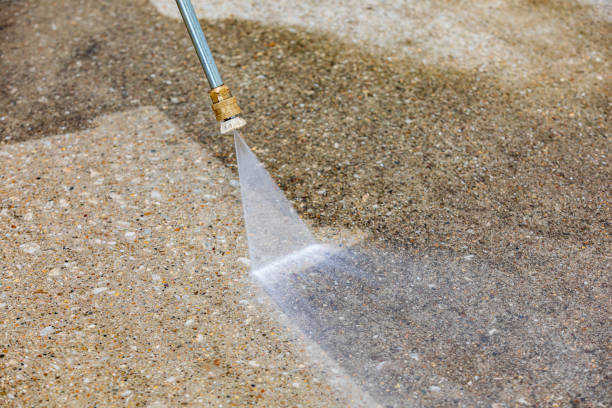 Best Driveway Pressure Washing  in Manchester, MI